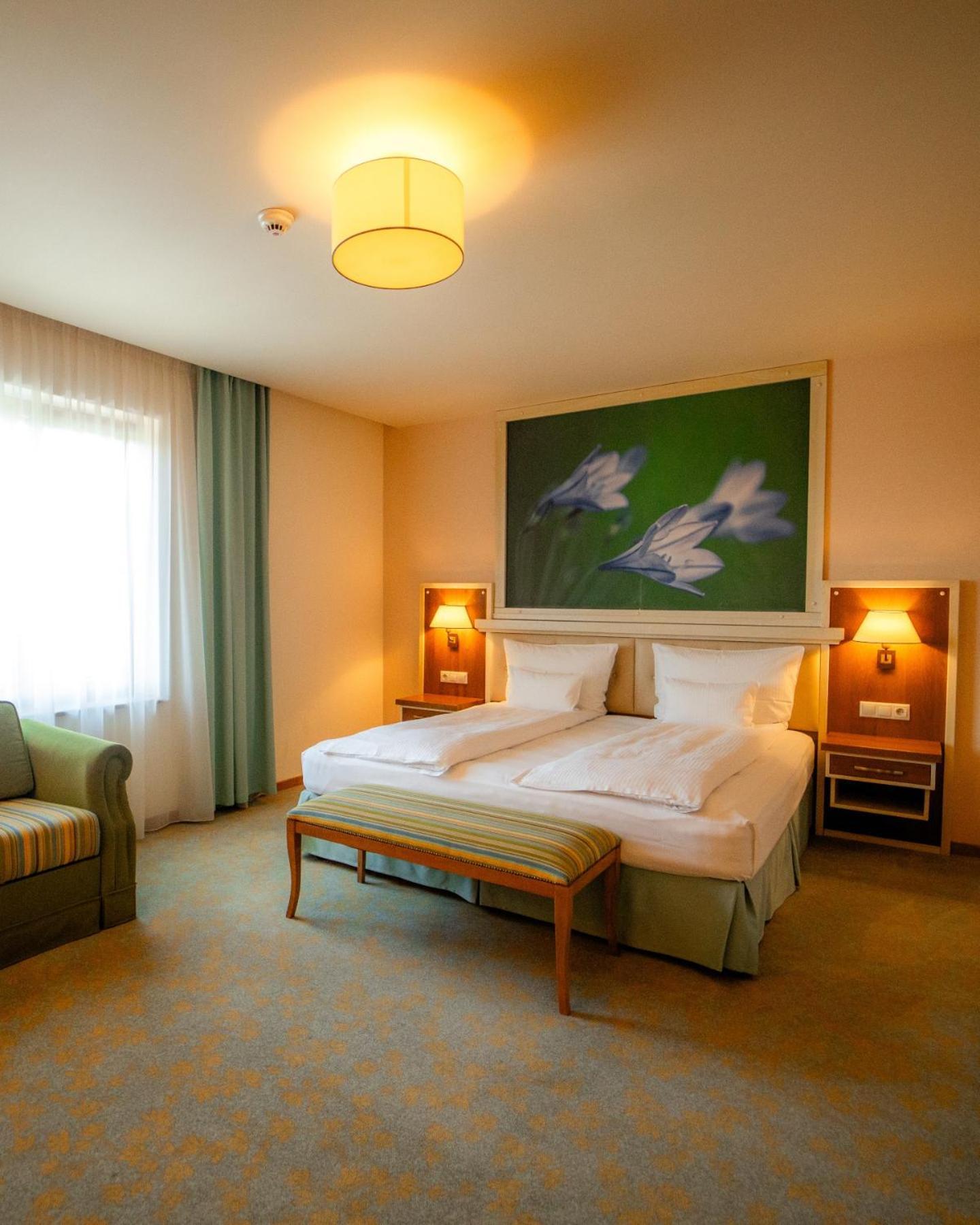 Hotel Sonnenhof 수체아바 외부 사진